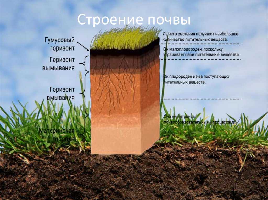 Строение грунта по слоям
