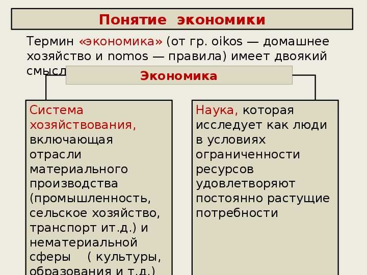 Почему экономику относят к числу общественных наук