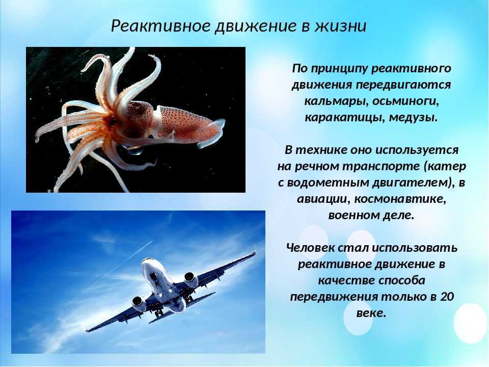 Реактивное движение в природе краткое сообщение. реактивное движение