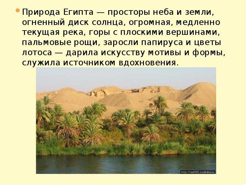 Какие есть полезные ископаемые в египте
