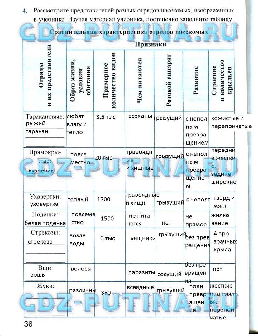 Доклад про насекомых 7 класс биология кратко