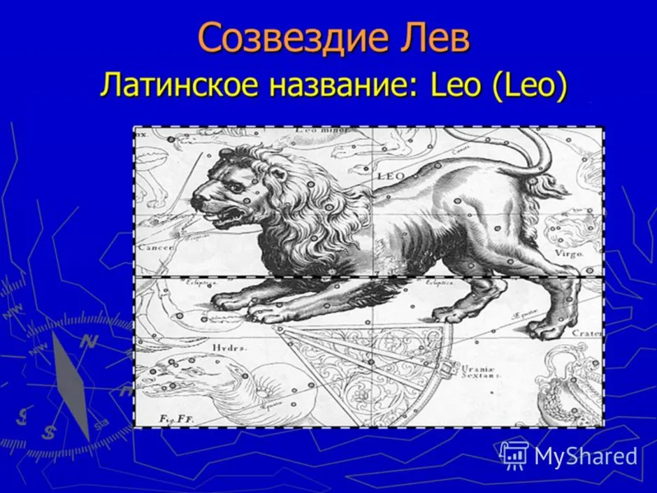 Чем интересно созвездие льва? | мир вокруг нас | школажизни.ру