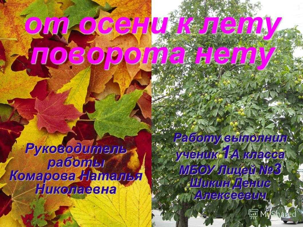 Сочинение пословицы про осень