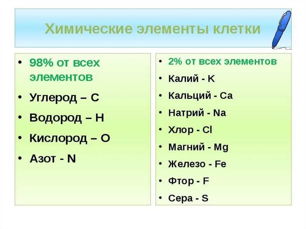 Химический состав клетки – свойства и роль кратко в таблице