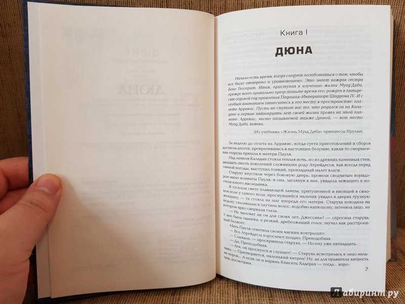 Дюна