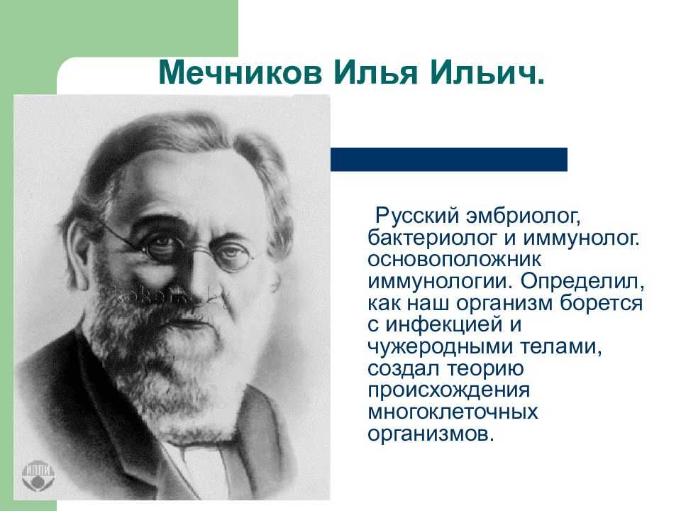 Аристотель - великий естествоиспытатель сообщение доклад 5 класс кратко