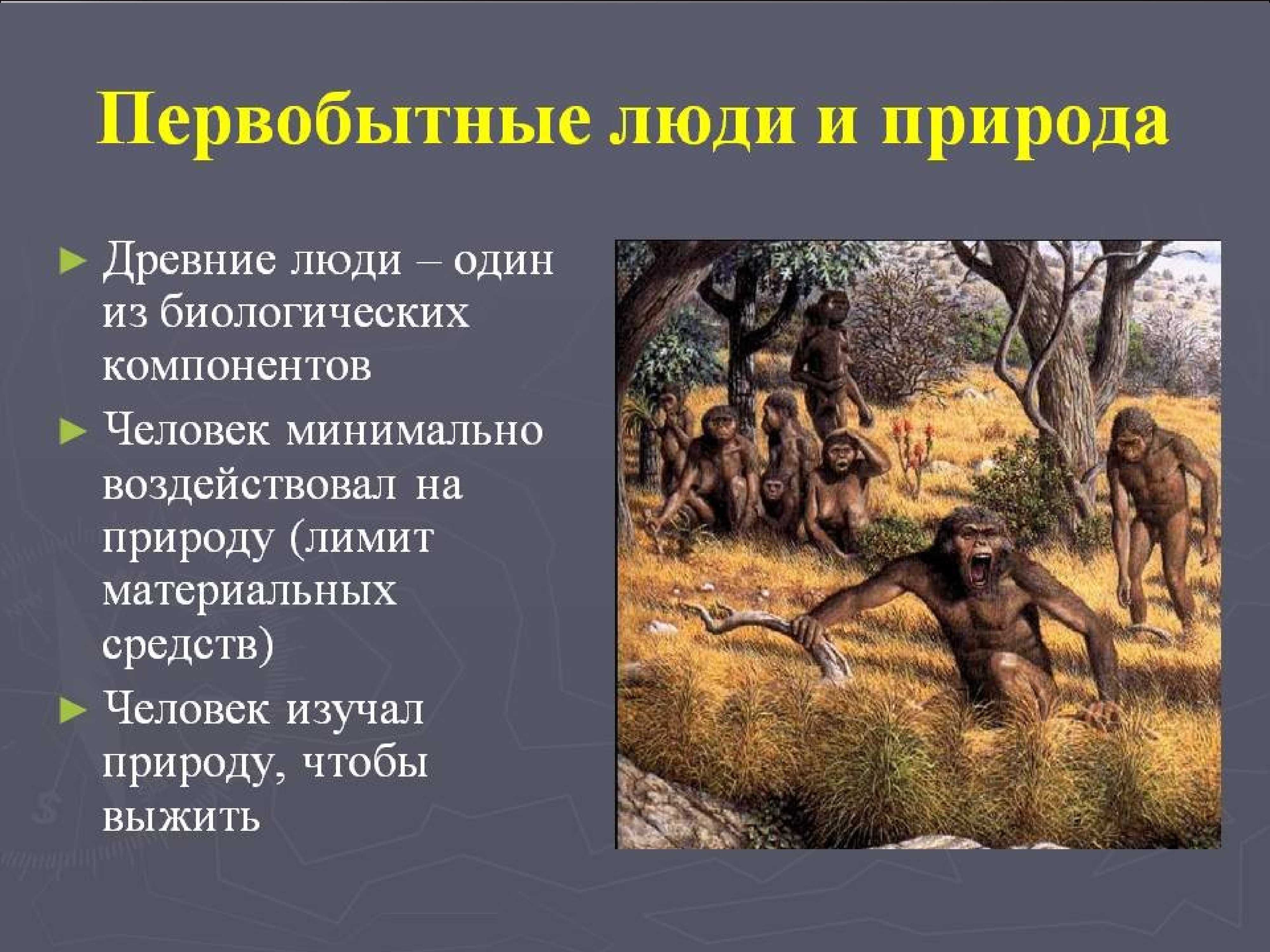 1.1 искусство первобытного общества. | искуству.ру - краткая история искусств