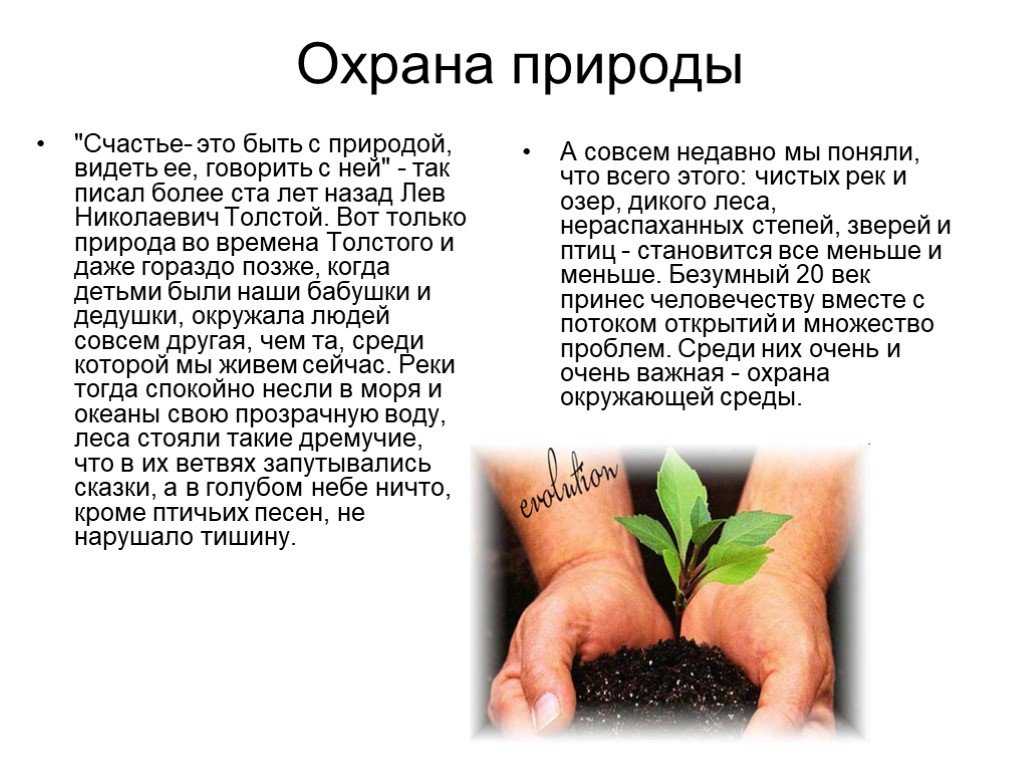 Техника надежный защитник по естествознанию доклад