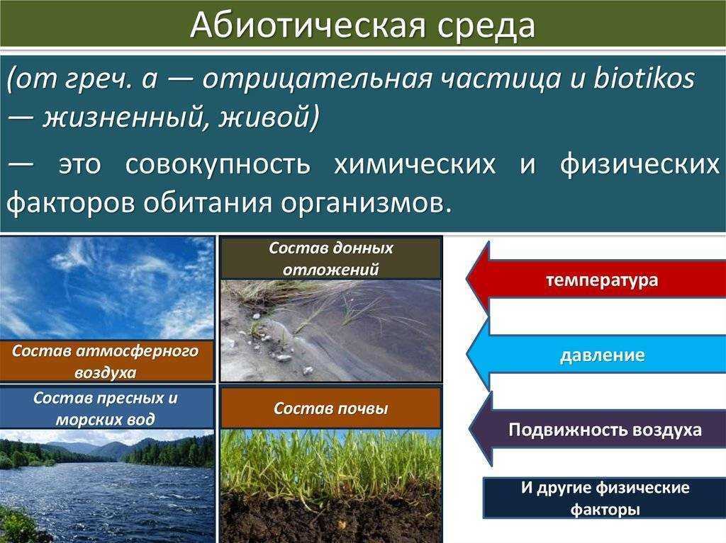 Понятие о среде обитания и условиях существования, характеристика сред жизни - рассашко и.ф. и др. общая экология