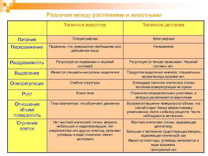 Сравнение животных и растений. отличия и разница между стратегиями развития