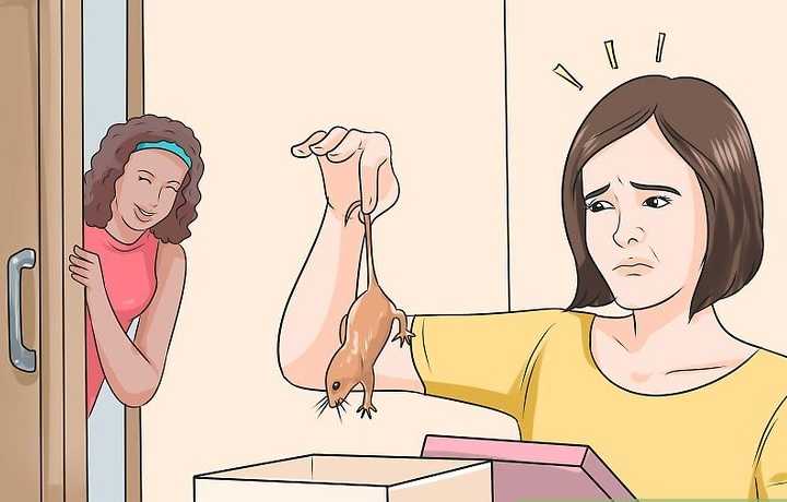 Как вести себя как госпожа - wikihow