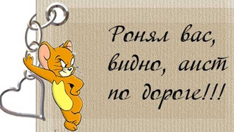 Оскорбляю мать, обвиняю мир в своих проблемах