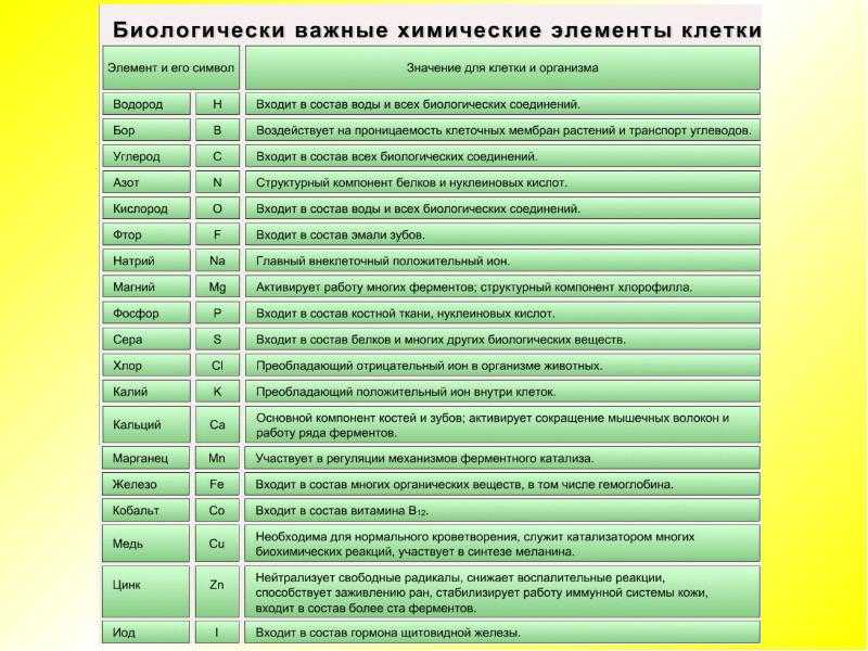 Биохимические основы жизнедеятельности организма человекавведение в биохимиюхимическое строение организма человека