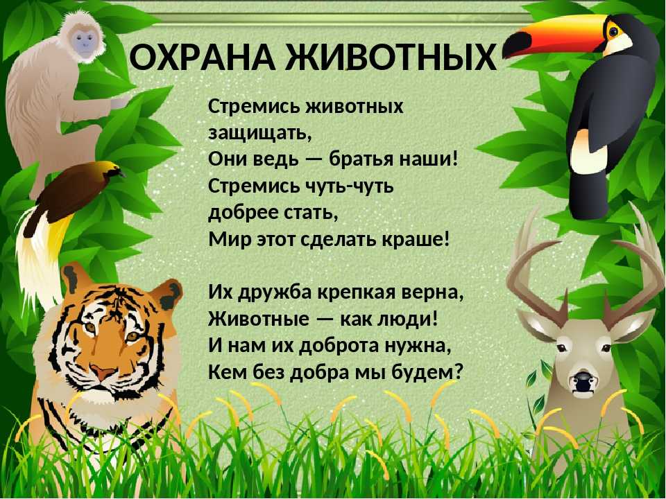 Окружающий мир 3 класс 1 часть охрана животных стр. 106 – 111