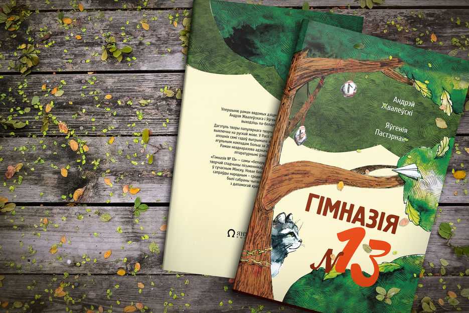Гимназия номер 13 книга краткое содержание