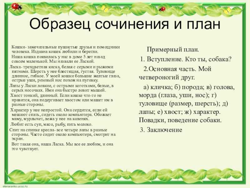 Сочинение мой класс (ученики)