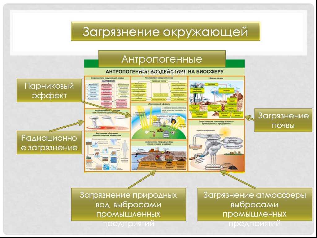 Антропогенные опасности — это… понятие, примеры и причины возникновения антропогенных опасностей