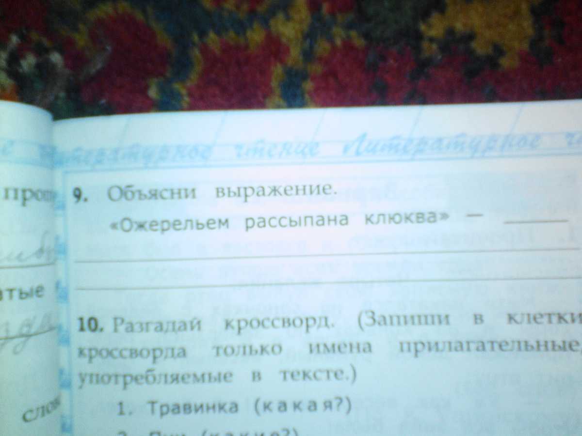 Тайна выражения: что означает "ожерельем рассыпана клюква"