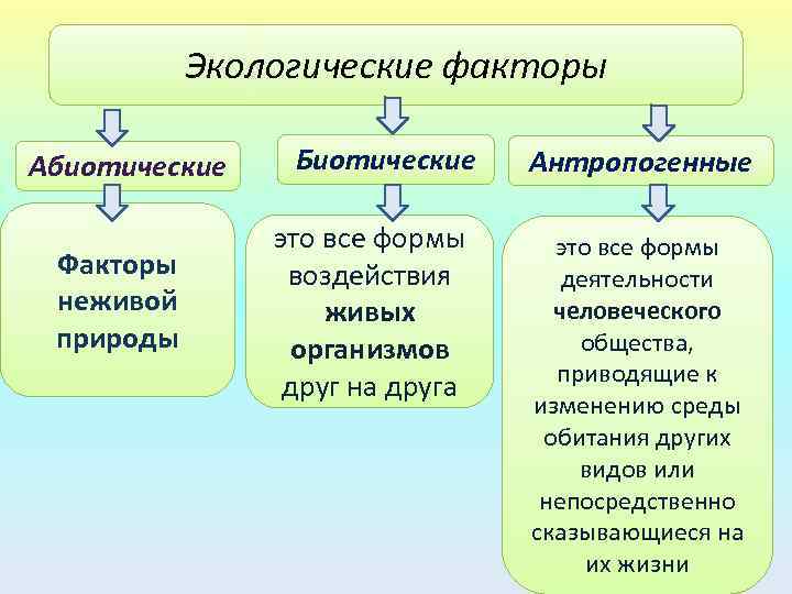 Доклад экологические факторы 5 класс по биологии