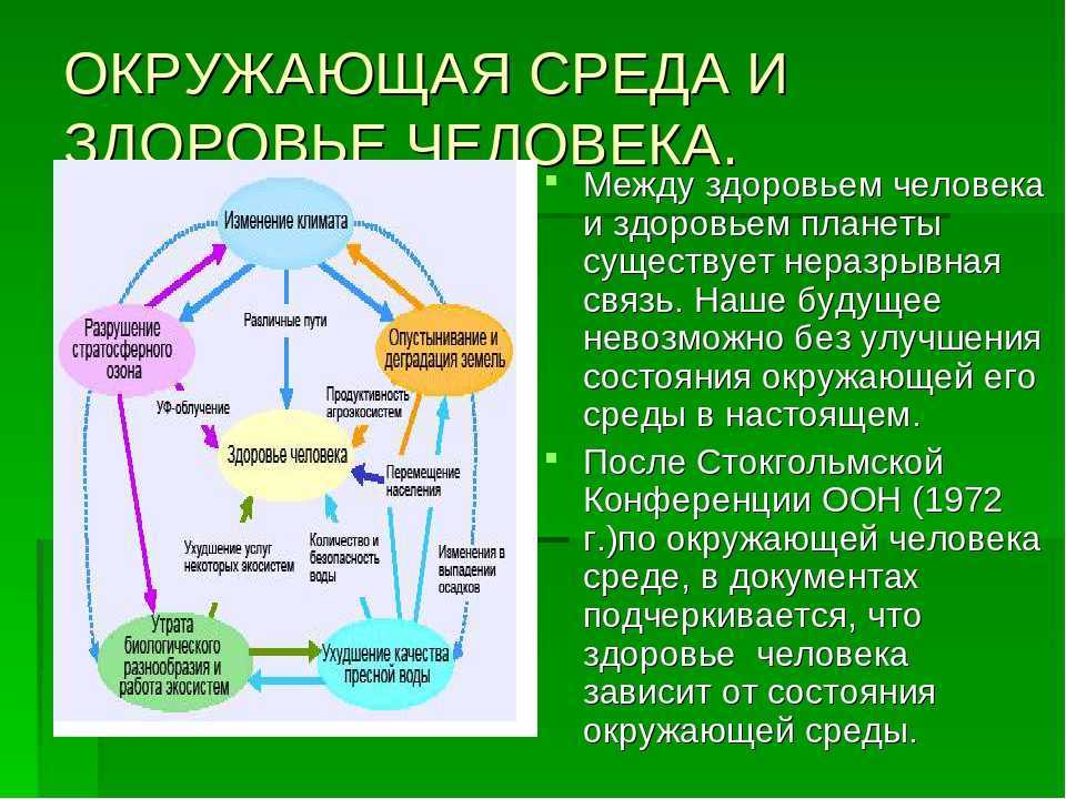 Вещества и их свойства. физические и химические явления.