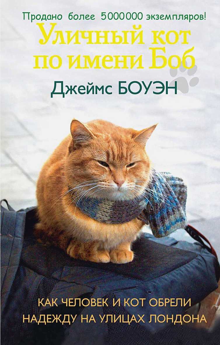 Джеймс боуэн ★ уличный кот по имени боб. как человек и кот обрели надежду на улицах лондона читать книгу онлайн бесплатно