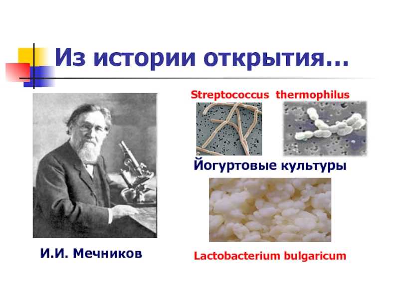 Кто придумал йогурт в америке. история возникновения йогурта и его популяризации в мире