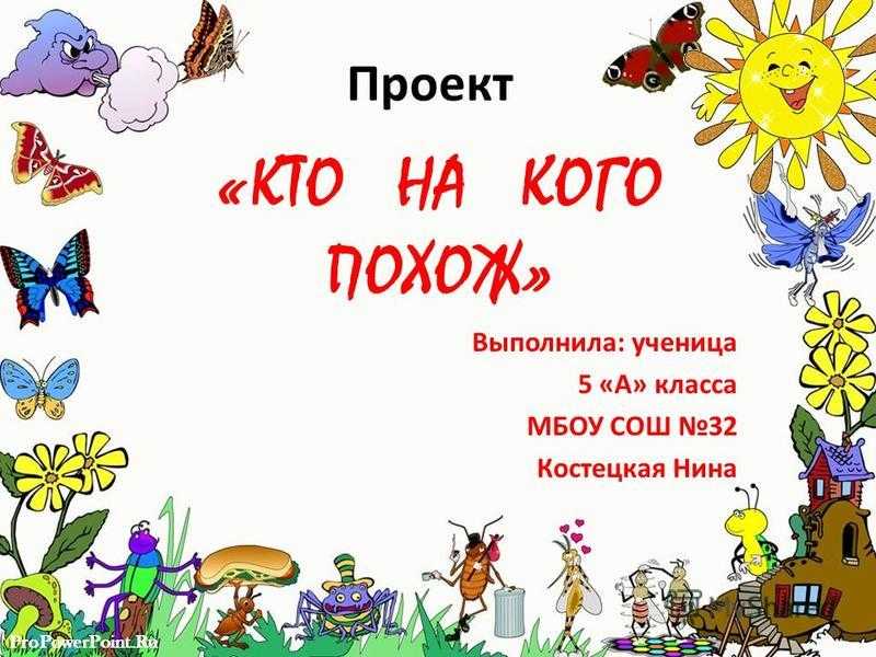 Проект кто на кого похож – проект “кто на кого похож”
