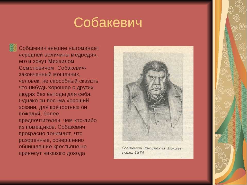 Характеристика собакевича