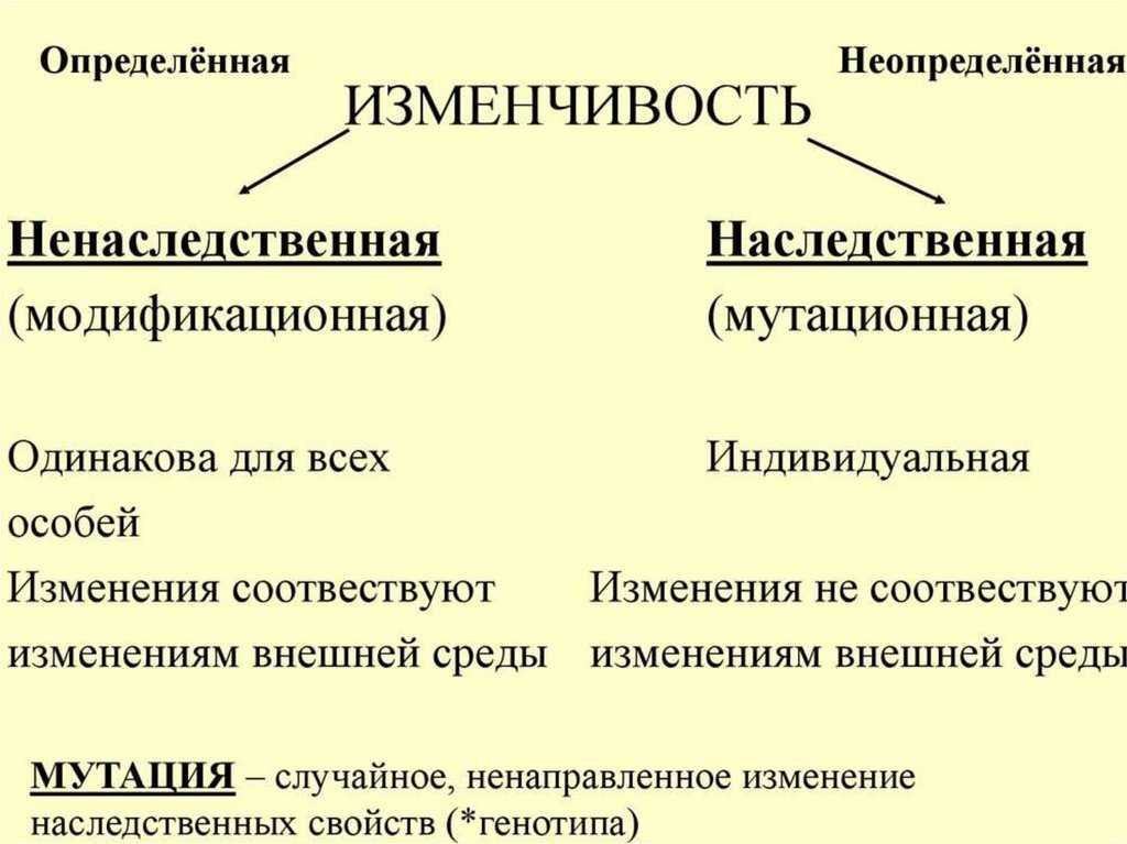 Химия, биология, подготовка к гиа и егэ