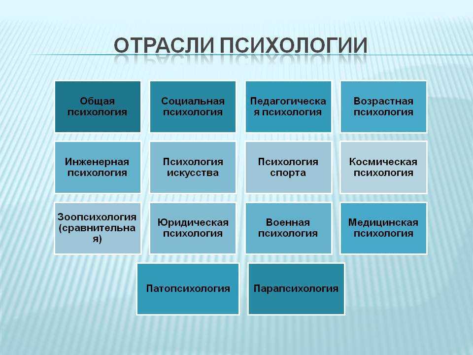 Какие направления в психологии наиболее популярны? - блог викиум
