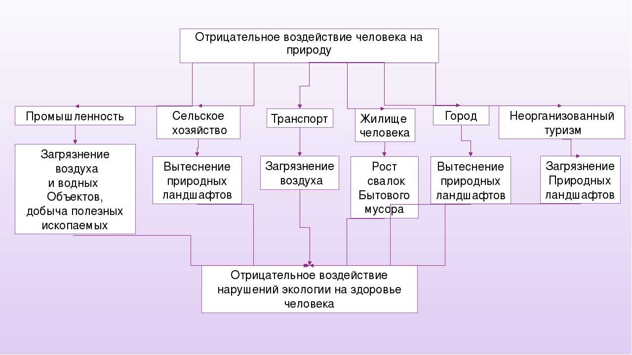 Природные зоны – хозяйственная деятельность человека, какая зона россии сильно изменена