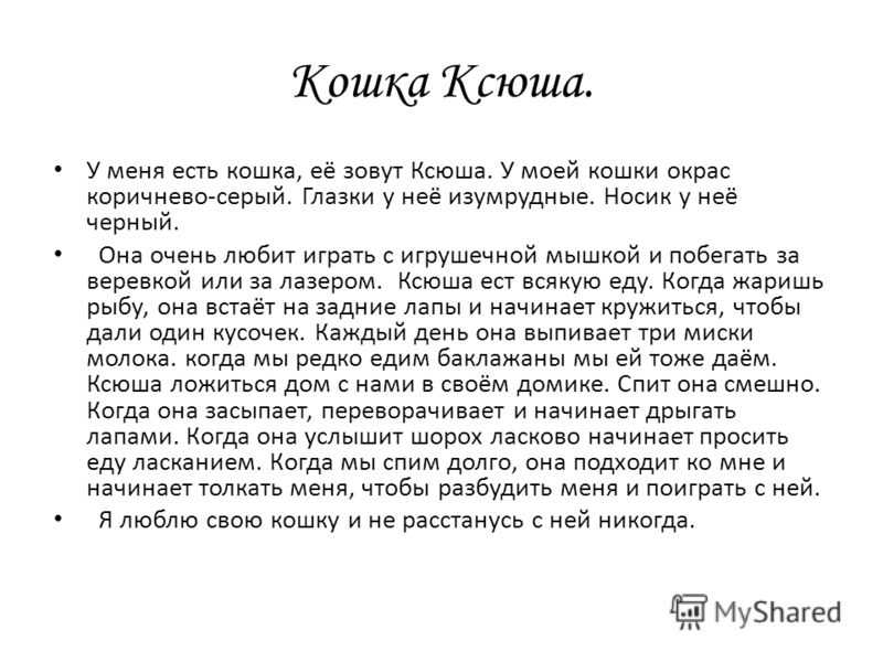 Сочинение описание животного (кошка 5 класс)