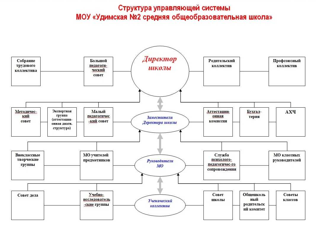 Рис система в школе