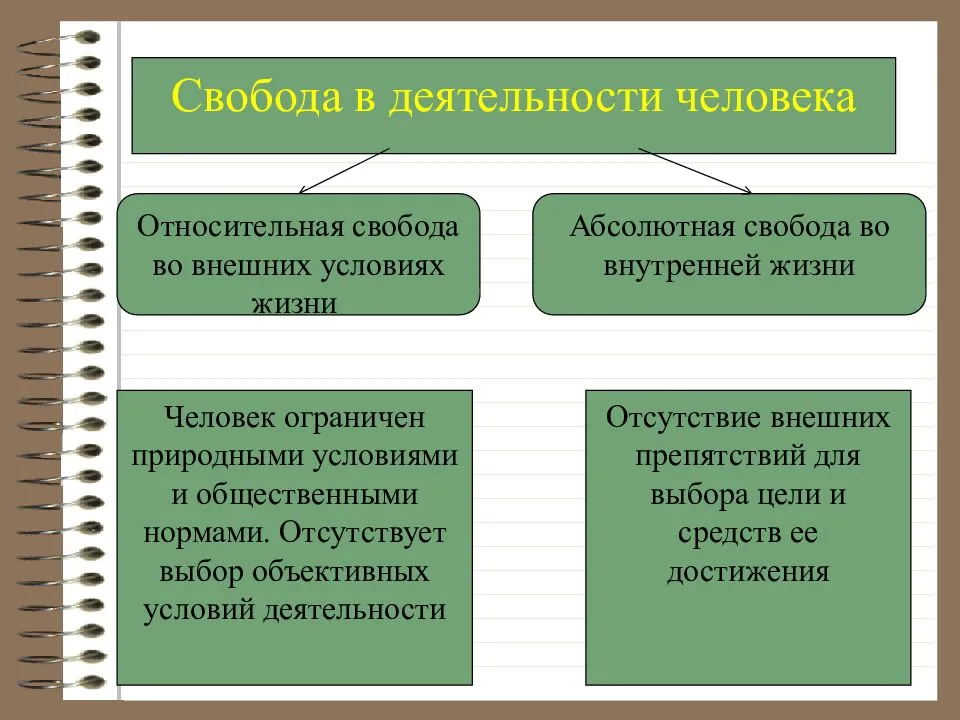 Сложный план свобода и необходимость в деятельности человека