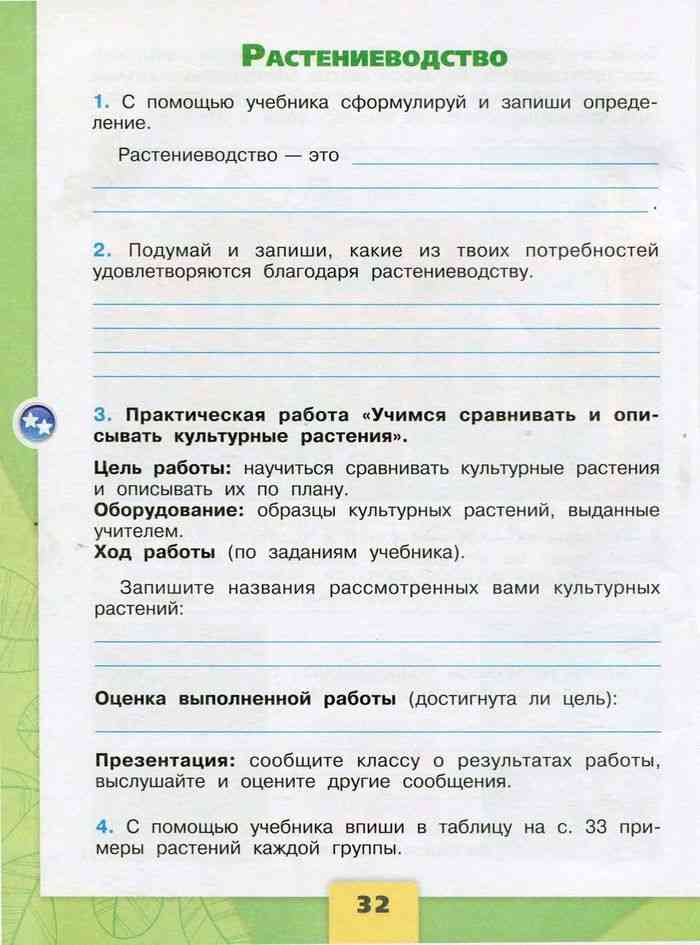 Доклад на тему ромашка 2, 3, 4 класс сообщение