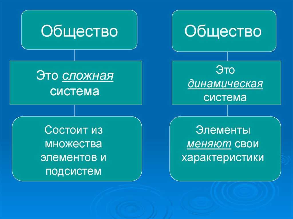 Динамические системы общества: примеры в современном мире