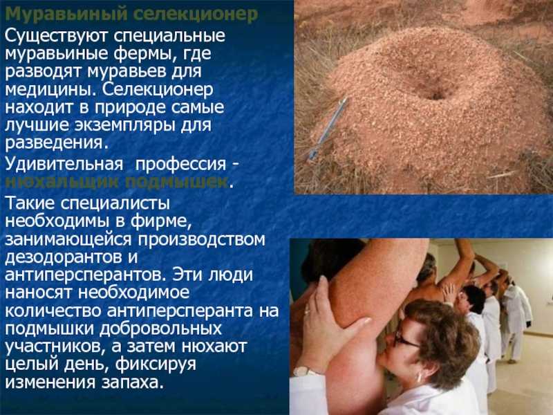 Зоотехник-селекционер: 100 ключевых навыков | статистика востребованности компетенций, умений, знаний, технологий, навыков (skills)
