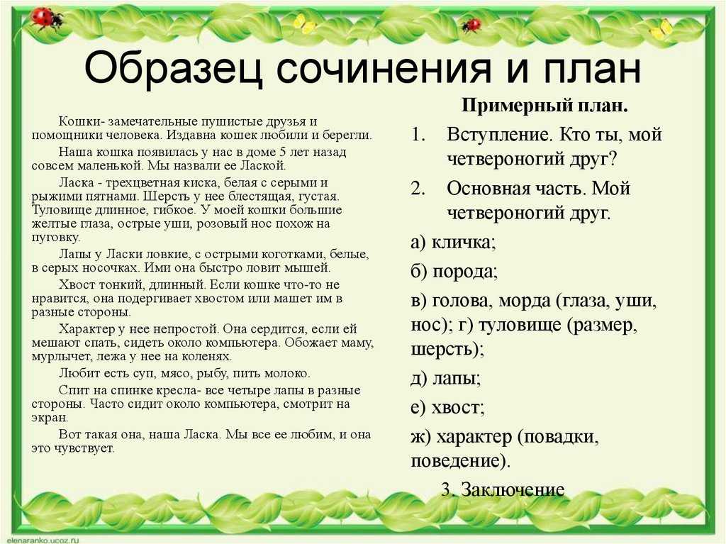 Сочинение на тему мой класс - план описания, примеры