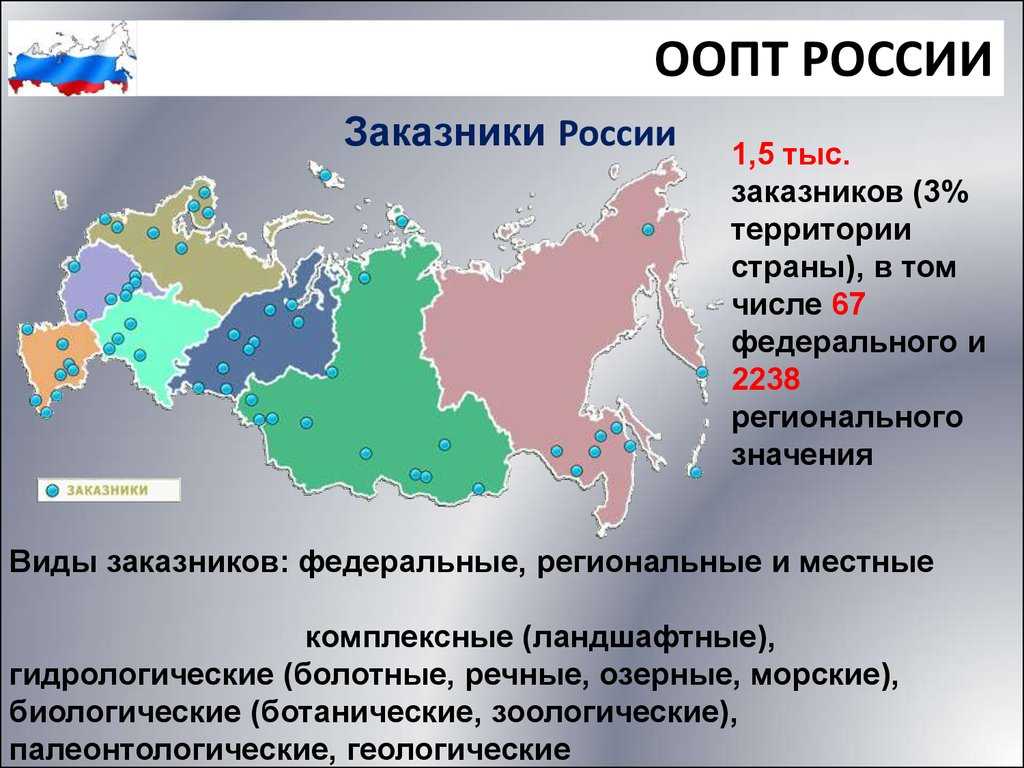 Особо охраняемые природные территории россии – сохранение среды, список земель (география, 8 класс)