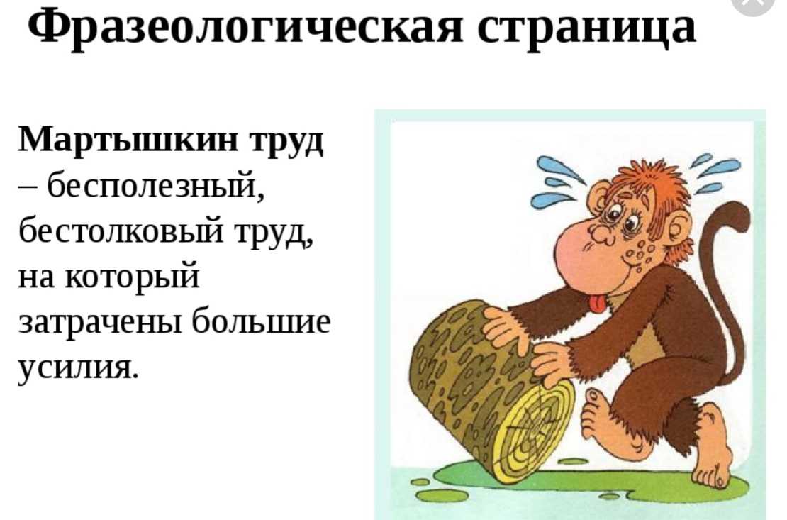 Что значит выражение божий одуванчик. значение и происхождение выражения «божий одуванчик