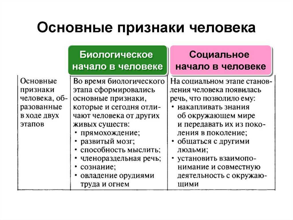Взаимодействие биологического и социального в человеке