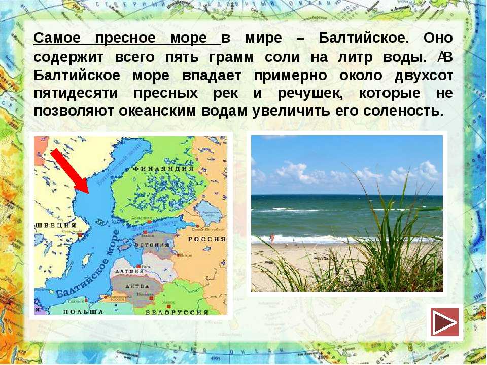 Балтийское море: расположение, описание, климат, фото и отзывы - gkd.ru