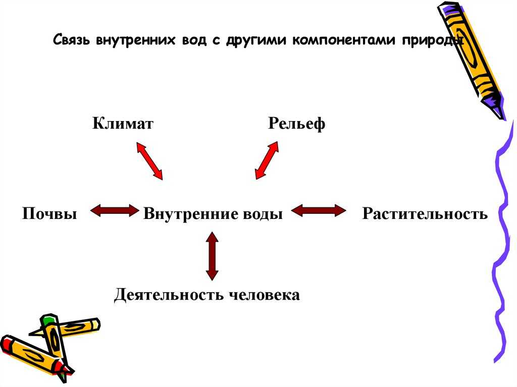 Осетровые рыбы - боги черноморского олимпа - севастопольский аквариум
