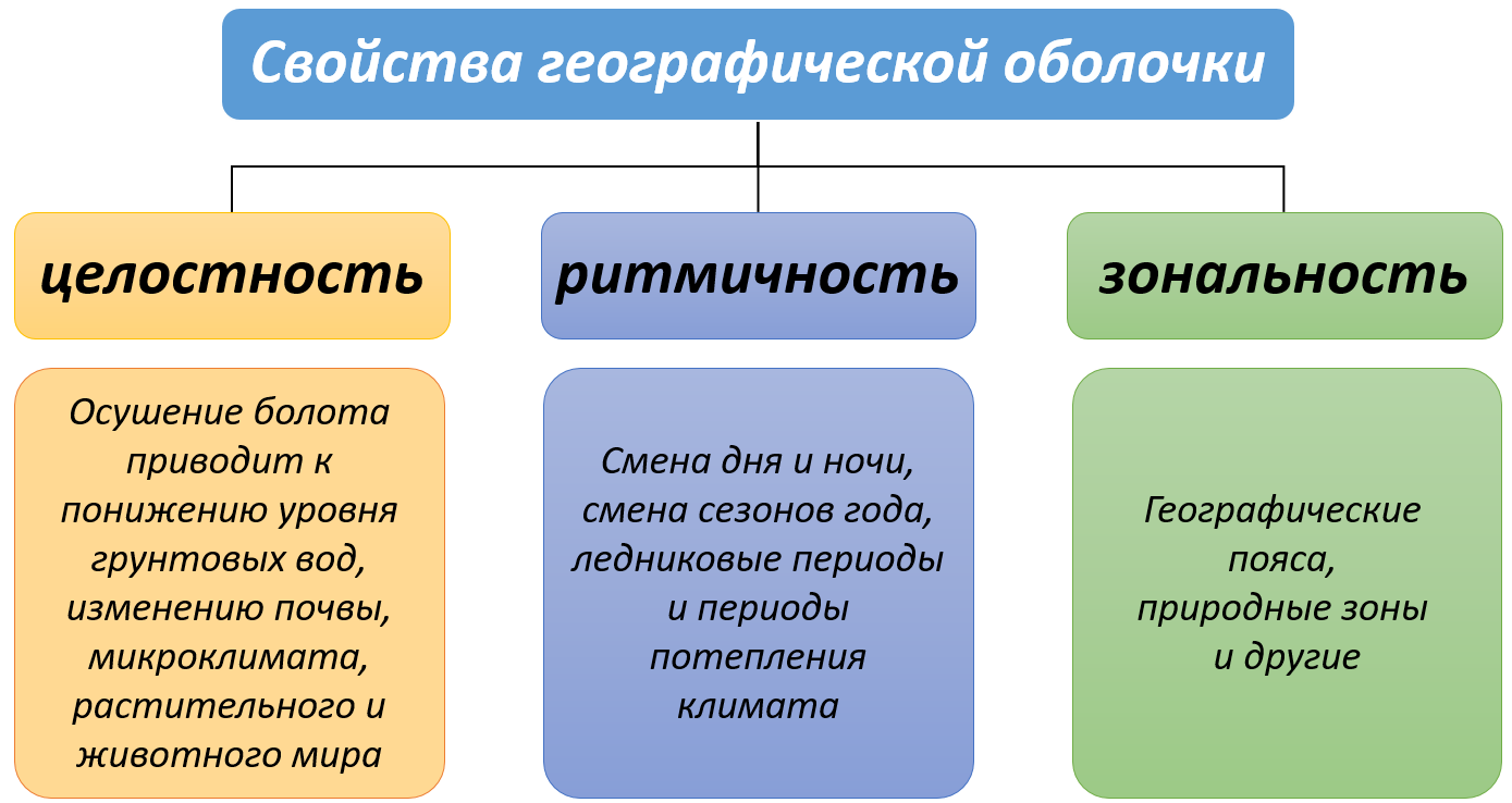Ритмичность географической оболочки: характеристика и причины