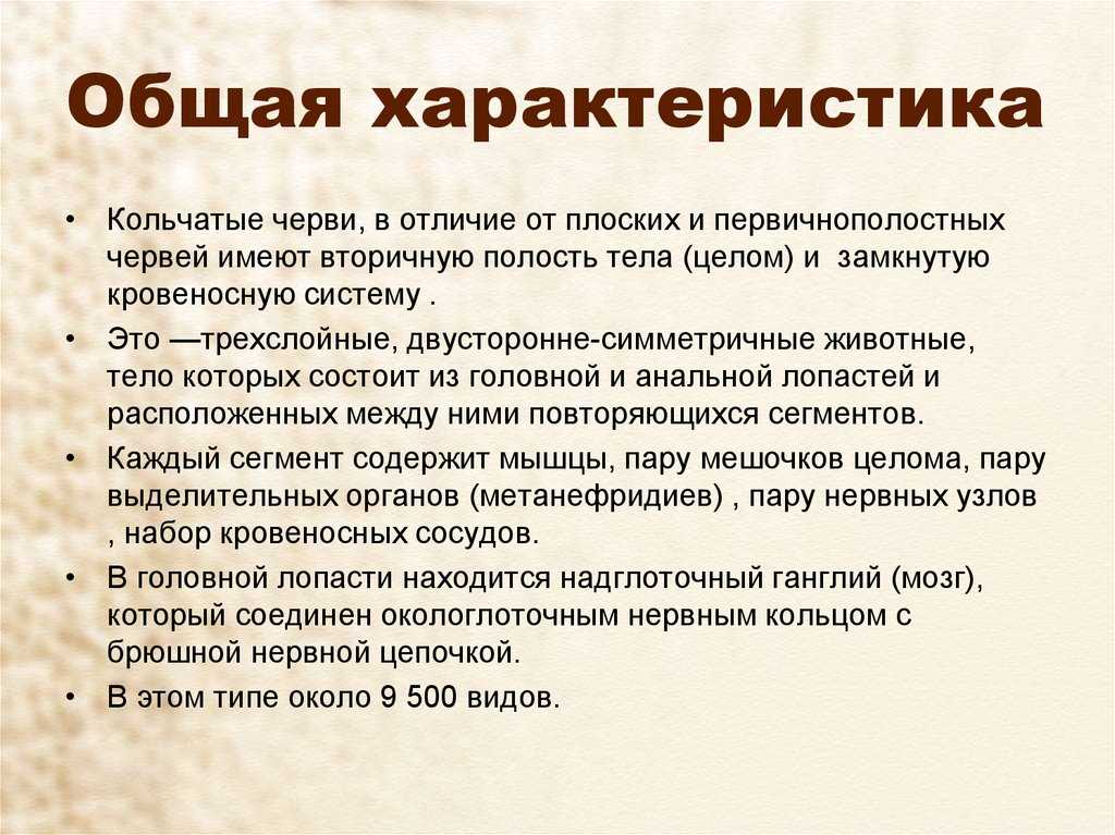 Вред и польза кольчатых червей