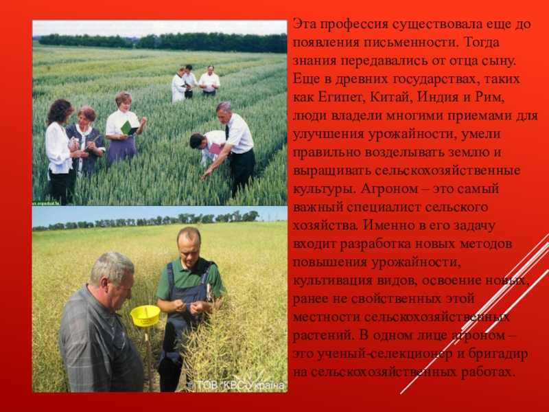 Селекционер в биологии: особенности работы и роль в современной науке
