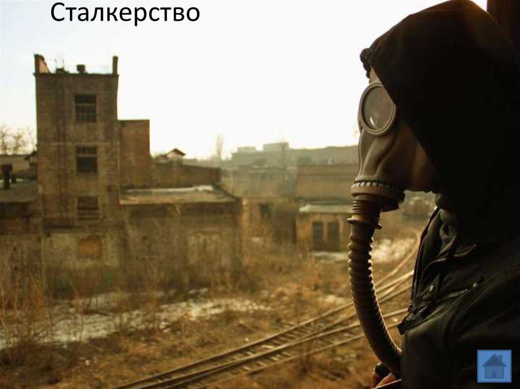 Сталкер - это… значение слова, разновидности и описание