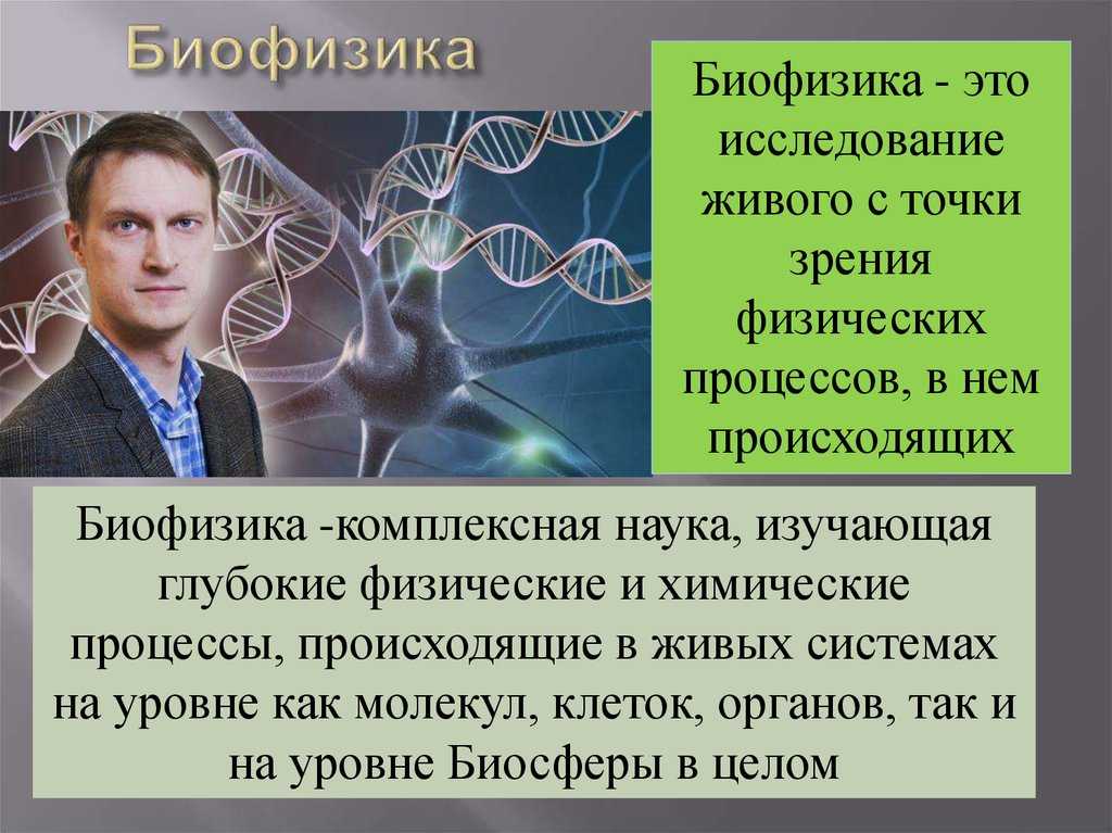 Биофизика. предмет, объект и сущность биофизики - онлайн справочник для студентов
