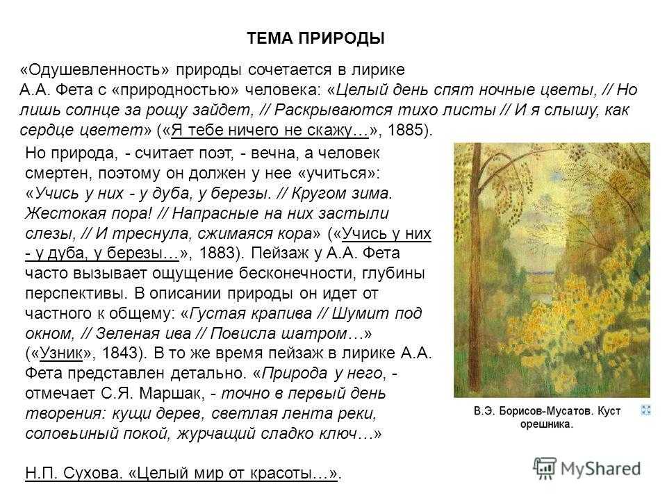 Из разборов лирики а.а. фета: «кот поет, глаза прищуря» — рефераты, сочинения скачать бесплатно