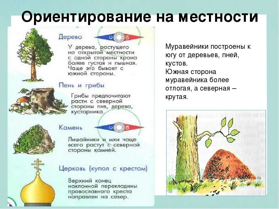 Как ориентироваться по звездам - wikihow